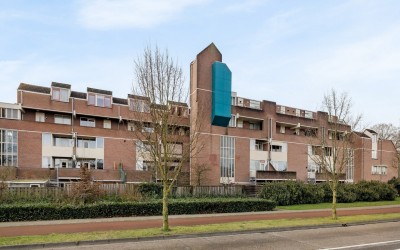 Braak 10