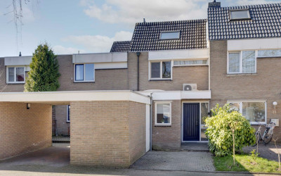 Peppelbeek 50
