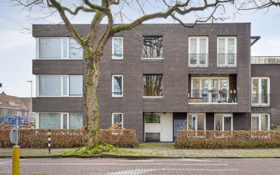 Pieter Zeem. 1-03