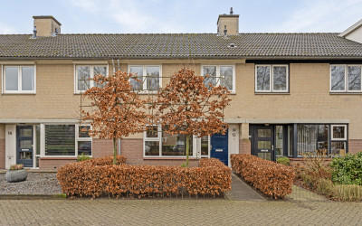 Haringvliet 12
