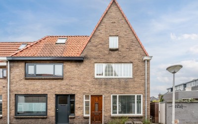 Goudenregen. 2