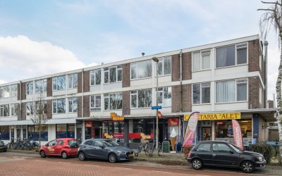 Donizettila. 41-A