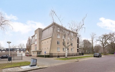 Tartinistra. 21