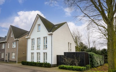 Honingbij 2