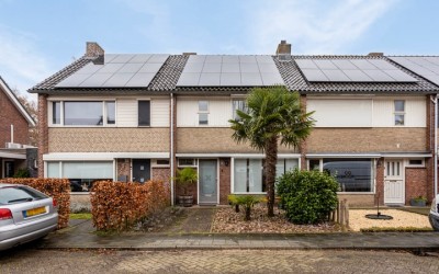 Mahoniehout. 51