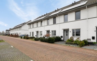 Aardbeivlin. 8