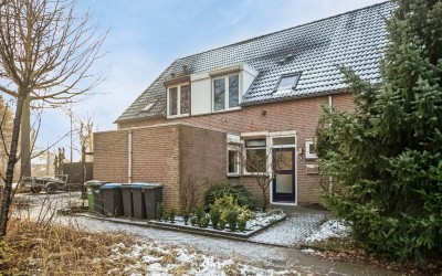 Spinsterhof 3