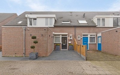 Spinsterhof 35
