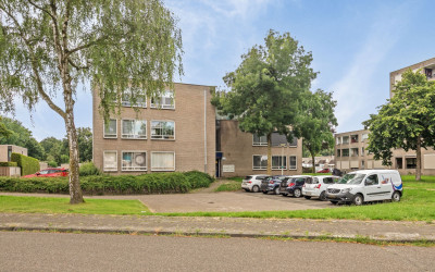 Dommel 20