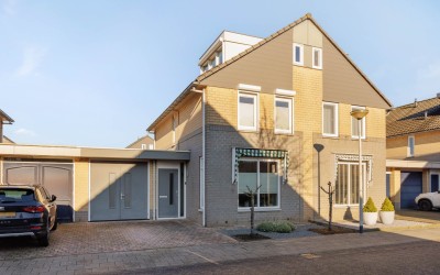 Paardebloem 32