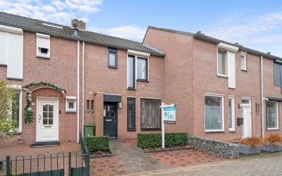 Papaverweerd 21