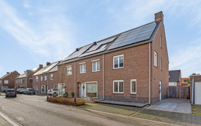Veldleeuwerik 23