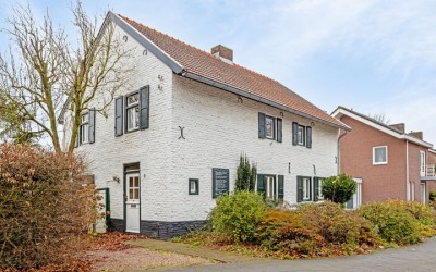 Groene Krui. 3