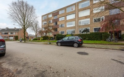 Dingostraat 40