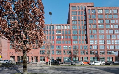 IJsvogelpas. 39