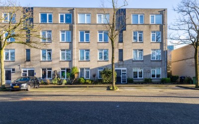 Ridderspoor 114