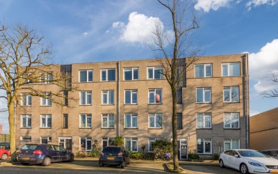 Ridderspoor 116