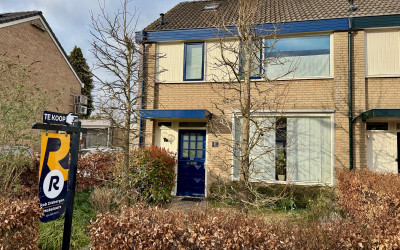 Sprongstraat 31