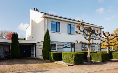Botterdam 3