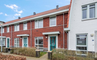 Leeuw 14