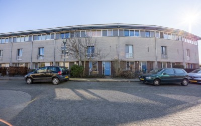 Fluitenkruid 13
