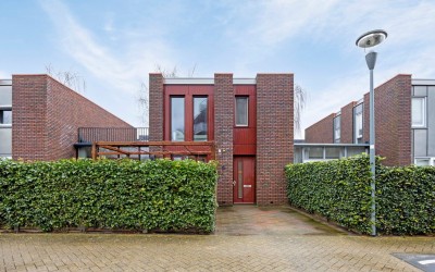 Boterbloem 8