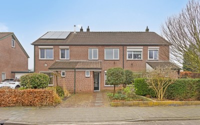 De Haantjes 39