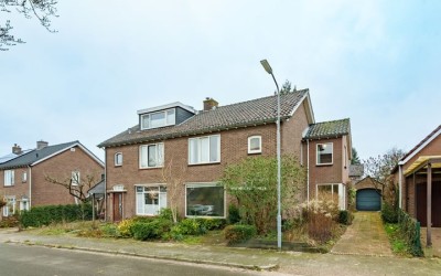 Goudenregen. 2