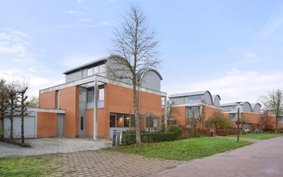 Cerise 46