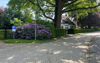Bergstraat 43