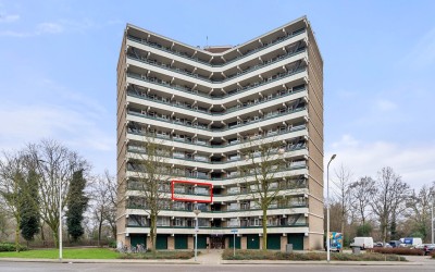 Valkestein 303