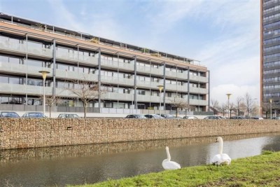 Kruidenplein 54