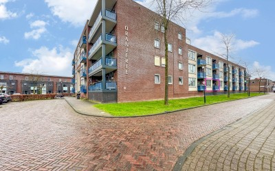 Pater Rijke. 8