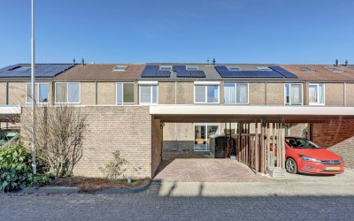 Kersenbonge. 10