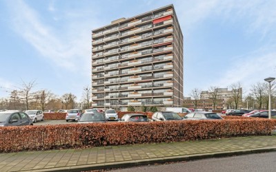 Aalscholver. 40