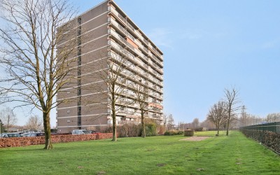 Aalscholver. 102