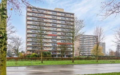 Aalscholver. 104