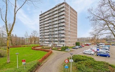 Aalscholver. 446