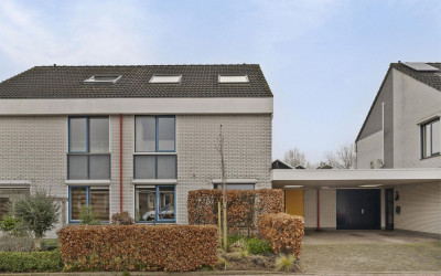 Schalmei 10
