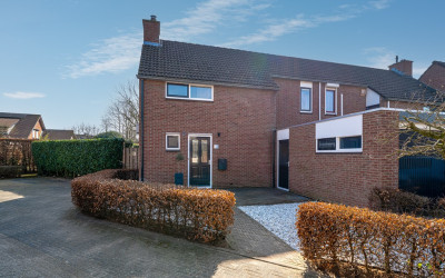 de Plataan 82