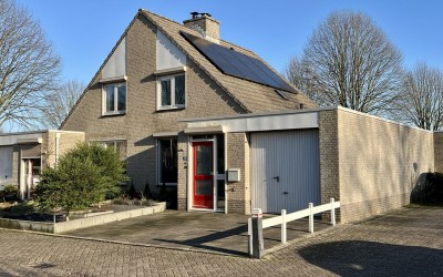 Zonnebloems. 38