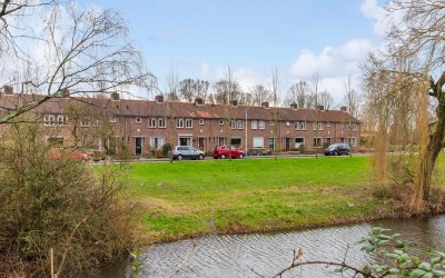 Willem de Z. 14