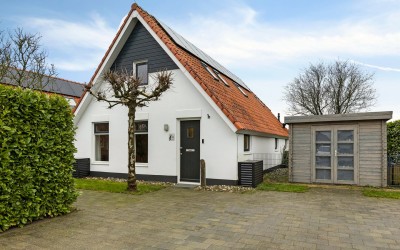 IJsvogel 46