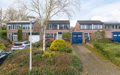 Het Eiland 60