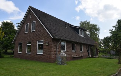Blauwhand 11
