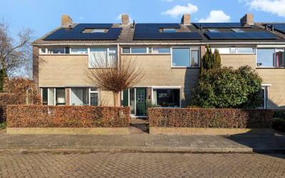 Schopenhaue. 95