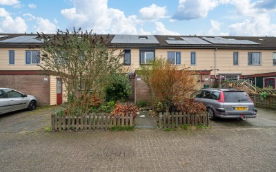 Kapelmeeste. 504
