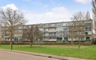 Van Houtenstraat 24