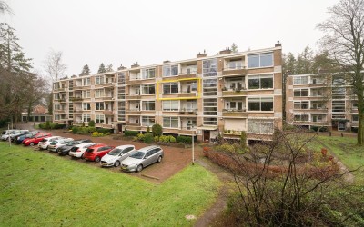 Park de Kot. 227