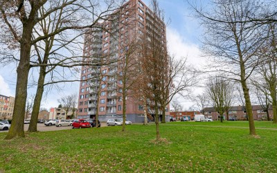 Waalstraat 185